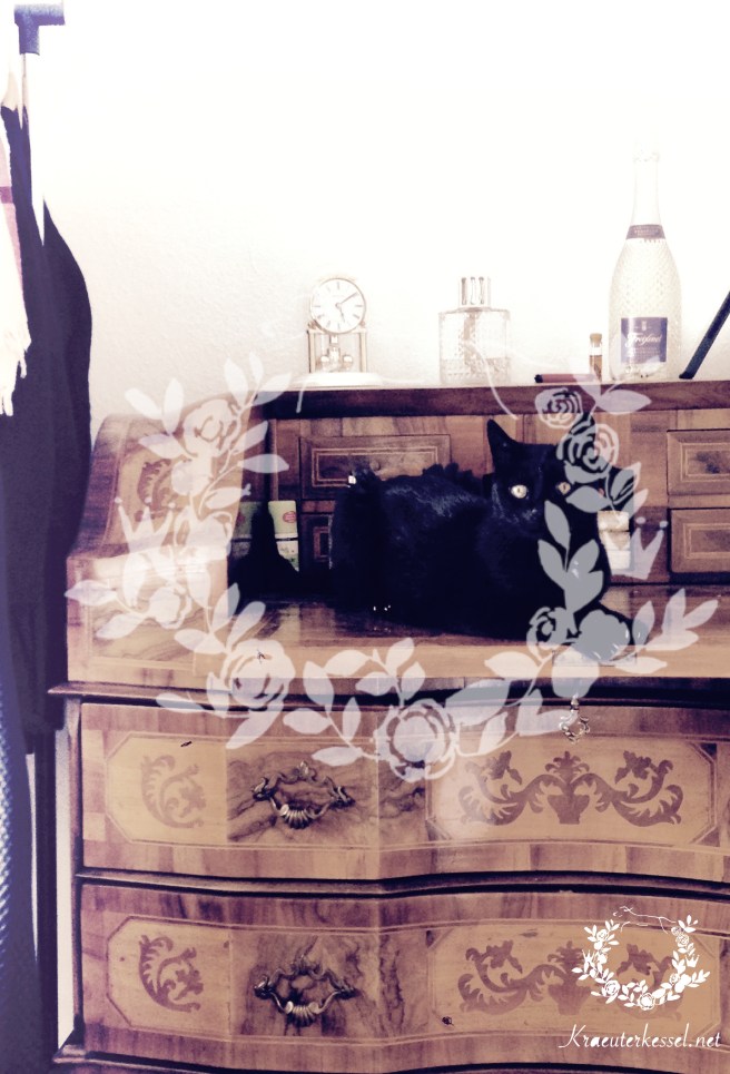 IMG_6651 Kopie (1).jpg